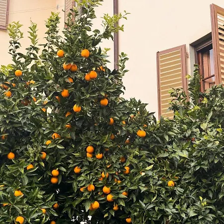 Apartment Villino Gemma, Elegant Living With A Tuscan Touch Florence
